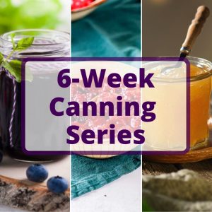 Canning Series: Home Canning Class at an Arizona Cooking School — Colorful Jars of Homemade Jam and Preserves, Canning Series, Home Canning, Arizona Cooking Classes, Hands-On Cooking, Preserve Making, Jam Making, Beginner Canning, Culinary Classes Arizona, Homemade Preserves, Pantry Staples, Cooking Series, Food Preservation, Arizona Culinary Program, Seasonal Cooking, Canning for Beginners